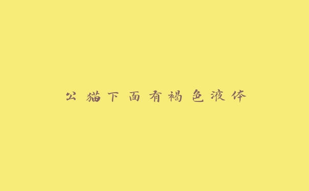公猫下面有褐色液体