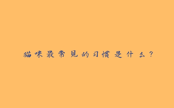 猫咪最常见的习惯是什么？