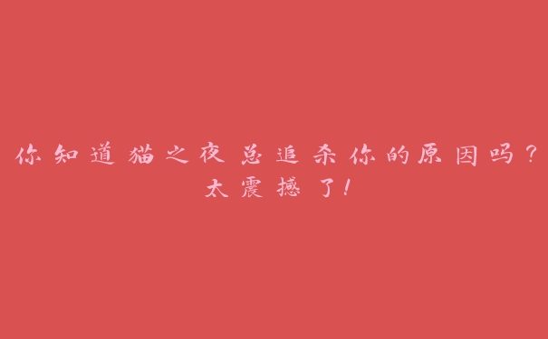 你知道猫之夜总追杀你的原因吗?太震撼了! 你知道猫之夜总追杀你的原因吗?太震撼了!