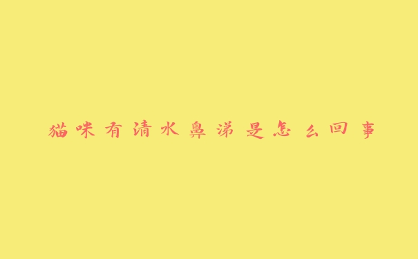 猫咪有清水鼻涕是怎么回事