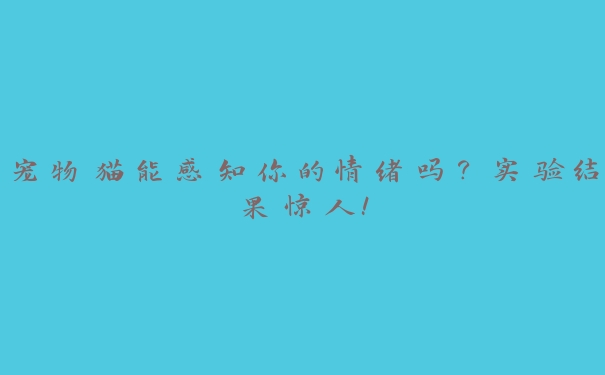宠物猫能感知你的情绪吗?实验结果惊人! 宠物猫能感知你的情绪吗?实验结果惊人!