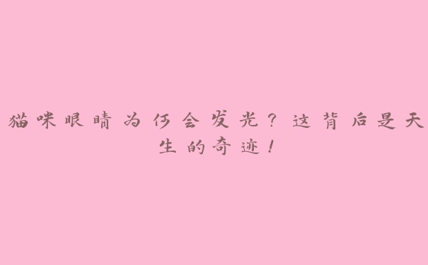 猫咪眼睛为何会发光?这背后是天生的奇迹! 猫咪眼睛为何会发光?这背后是天生的奇迹!