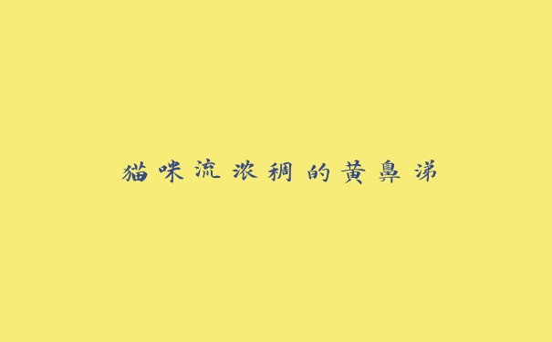 猫咪流浓稠的黄鼻涕