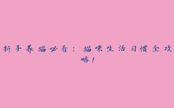 新手养猫必看:猫咪生活习惯全攻略! 新手养猫必看:猫咪生活习惯全攻略!