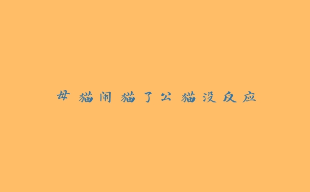 母猫闹猫了公猫没反应 母猫闹猫了公猫没反应