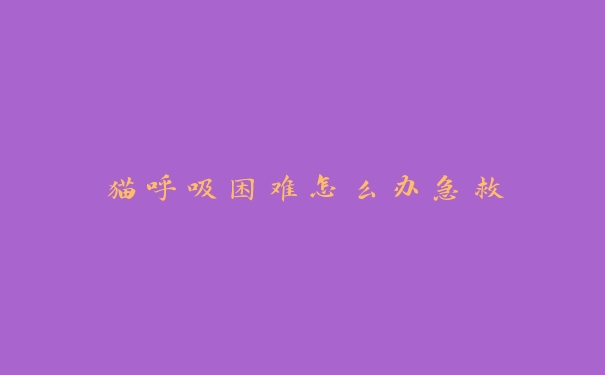 猫呼吸困难怎么办急救