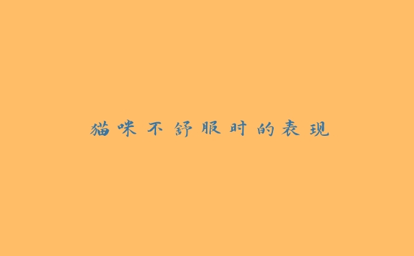 猫咪不舒服时的表现