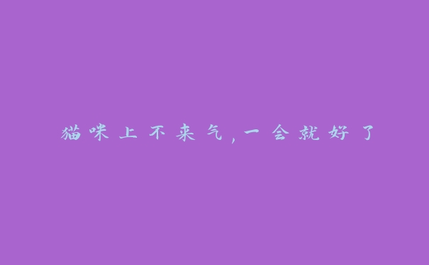 猫咪上不来气,一会就好了 猫咪上不来气,一会就好了
