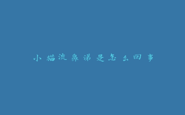 小猫流鼻涕是怎么回事 小猫流鼻涕是怎么回事
