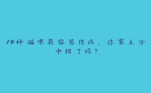 10种猫咪最容易得病,你家主子中招了吗? 10种猫咪最容易得病,你家主子中招了吗?