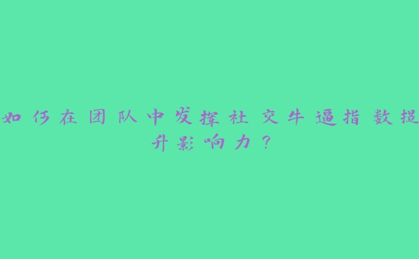 如何在团队中发挥社交牛逼指数提升影响力? 如何在团队中发挥社交牛逼指数提升影响力?