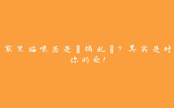 家里猫咪总是“搞乱”?其实是对你的爱! 家里猫咪总是“搞乱”?其实是对你的爱!