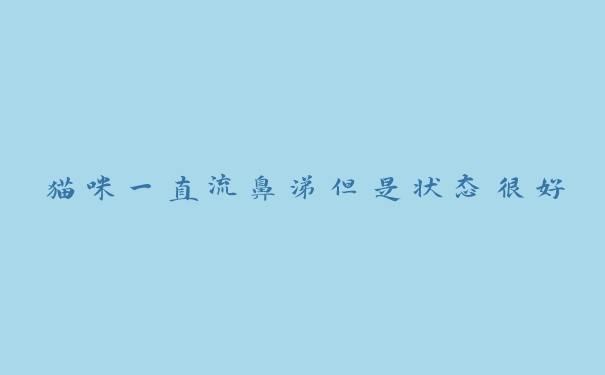 猫咪一直流鼻涕但是状态很好 猫咪一直流鼻涕但是状态很好