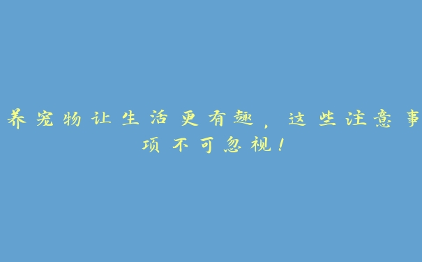 养宠物让生活更有趣，这些注意事项不可忽视！