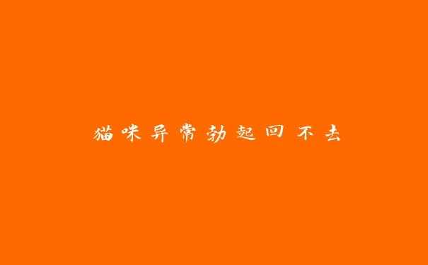 猫咪异常勃起回不去 猫咪异常勃起回不去