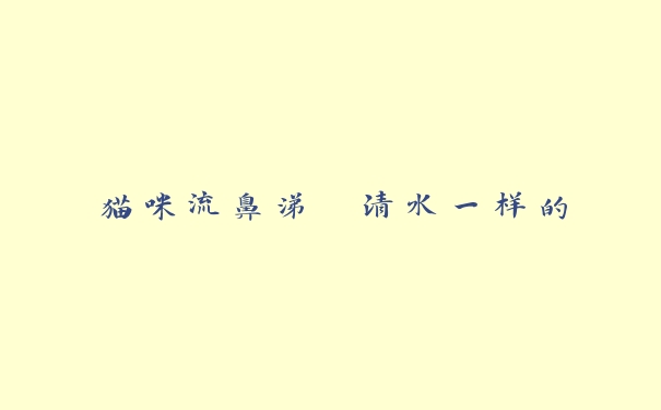 猫咪流鼻涕 清水一样的