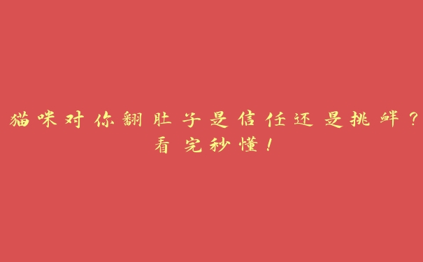猫咪对你翻肚子是信任还是挑衅?看完秒懂! 猫咪对你翻肚子是信任还是挑衅?看完秒懂!