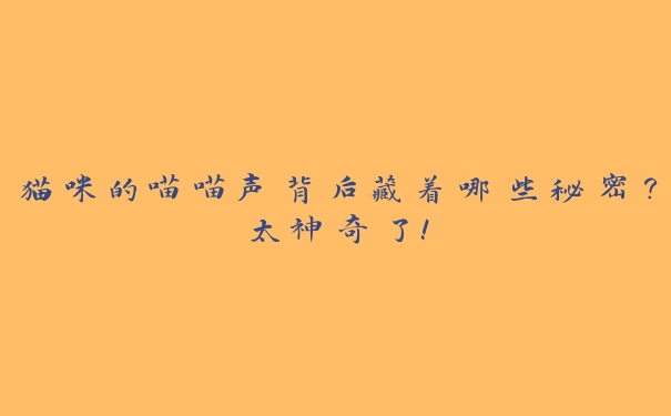 猫咪的喵喵声背后藏着哪些秘密?太神奇了! 猫咪的喵喵声背后藏着哪些秘密?太神奇了!