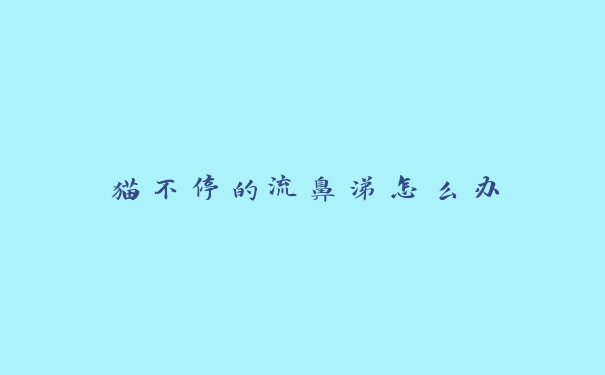 猫不停的流鼻涕怎么办 猫不停的流鼻涕怎么办