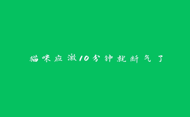 猫咪应激10分钟就断气了