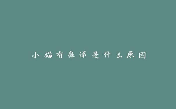 小猫有鼻涕是什么原因 小猫有鼻涕是什么原因