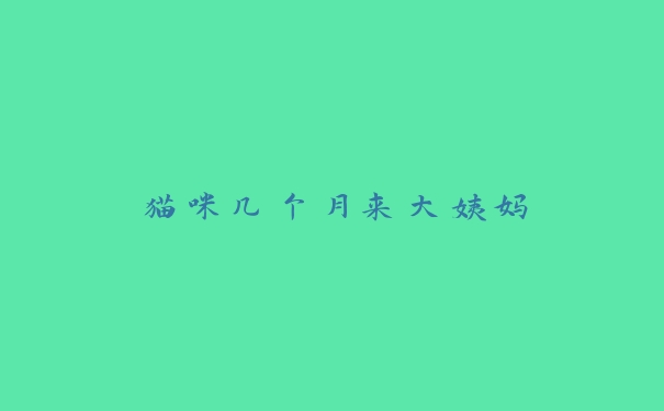 猫咪几个月来大姨妈