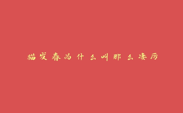 猫发春为什么叫那么凄厉 猫发春为什么叫那么凄厉