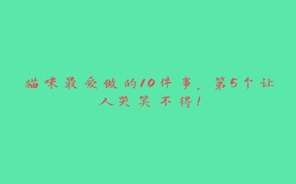 猫咪最爱做的10件事,第5个让人哭笑不得! 猫咪最爱做的10件事,第5个让人哭笑不得!