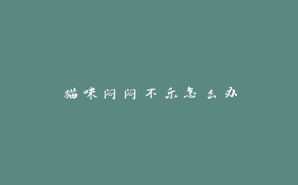 猫咪闷闷不乐怎么办 猫咪闷闷不乐怎么办