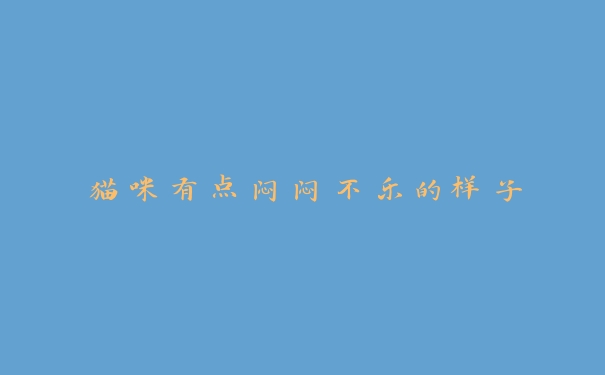 猫咪有点闷闷不乐的样子 猫咪有点闷闷不乐的样子