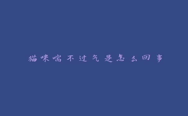 猫咪喘不过气是怎么回事 猫咪喘不过气是怎么回事