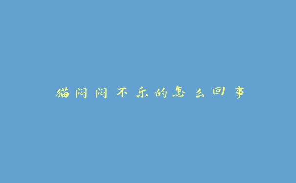 猫闷闷不乐的怎么回事