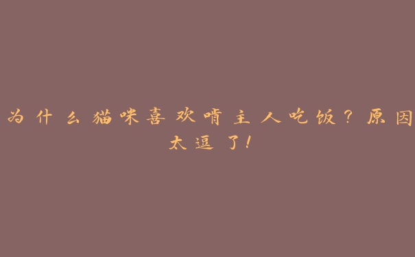 为什么猫咪喜欢啃主人吃饭?原因太逗了! 为什么猫咪喜欢啃主人吃饭?原因太逗了!