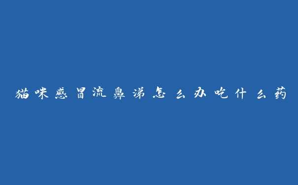 猫咪感冒流鼻涕怎么办吃什么药 猫咪感冒流鼻涕怎么办吃什么药