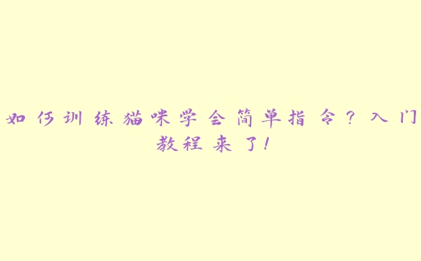 如何训练猫咪学会简单指令?入门教程来了! 如何训练猫咪学会简单指令?入门教程来了!
