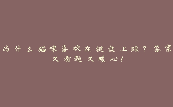 为什么猫咪喜欢在键盘上踩?答案又有趣又暖心! 为什么猫咪喜欢在键盘上踩?答案又有趣又暖心!