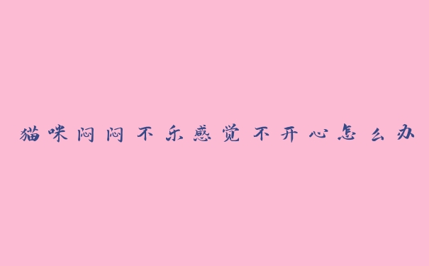 猫咪闷闷不乐感觉不开心怎么办 猫咪闷闷不乐感觉不开心怎么办