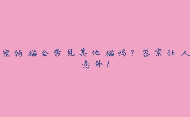 宠物猫会常见其他猫吗?答案让人意外! 宠物猫会常见其他猫吗?答案让人意外!