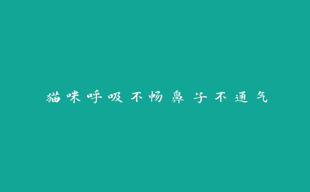 猫咪呼吸不畅鼻子不通气 猫咪呼吸不畅鼻子不通气