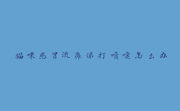 猫咪感冒流鼻涕打喷嚏怎么办 猫咪感冒流鼻涕打喷嚏怎么办