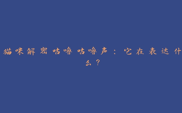猫咪解密咕噜咕噜声:它在表达什么? 猫咪解密咕噜咕噜声:它在表达什么?