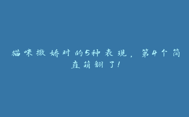 猫咪撒娇时的5种表现,第4个简直萌翻了! 猫咪撒娇时的5种表现,第4个简直萌翻了!