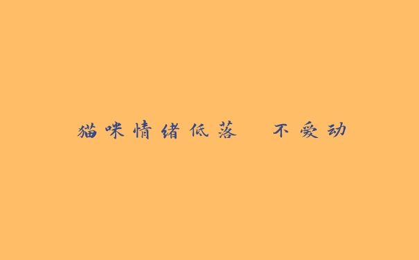 猫咪情绪低落 不爱动 猫咪情绪低落 不爱动