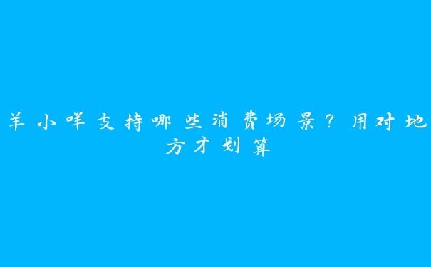 羊小咩支持哪些消费场景?用对地方才划算 羊小咩支持哪些消费场景?用对地方才划算