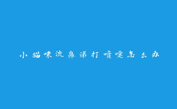小猫咪流鼻涕打喷嚏怎么办 小猫咪流鼻涕打喷嚏怎么办
