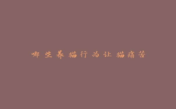 哪些养猫行为让猫痛苦 哪些养猫行为让猫痛苦