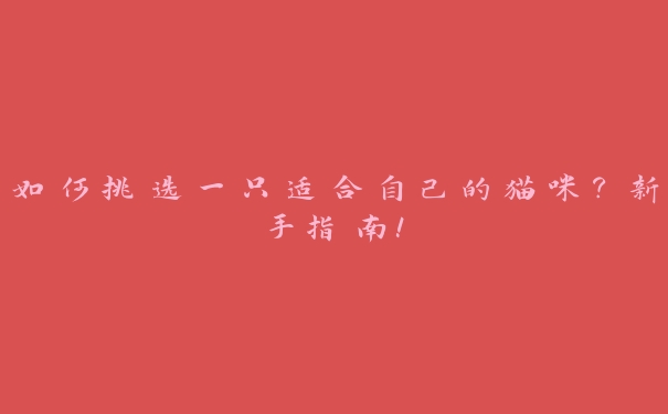 如何挑选一只适合自己的猫咪?新手指南! 如何挑选一只适合自己的猫咪?新手指南!