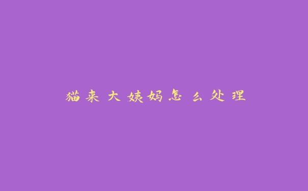 猫来大姨妈怎么处理