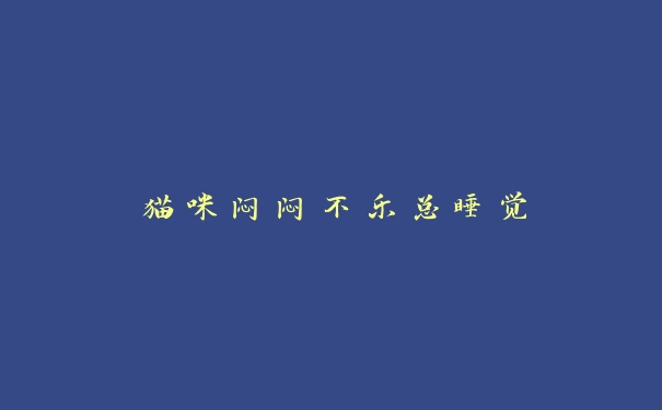 猫咪闷闷不乐总睡觉