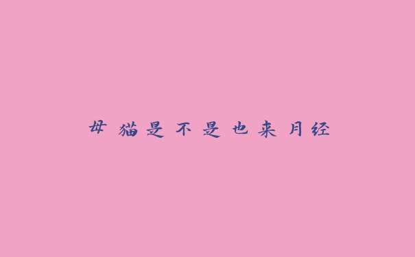 母猫是不是也来月经 母猫是不是也来月经